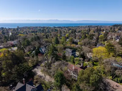 View 48