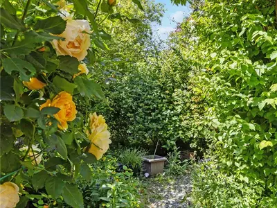 View 24