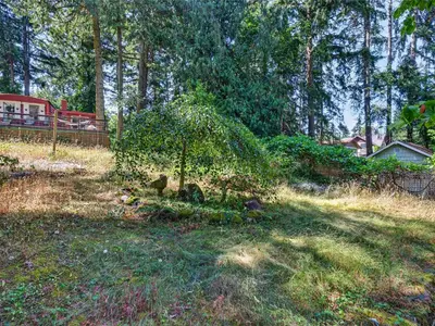 View 23