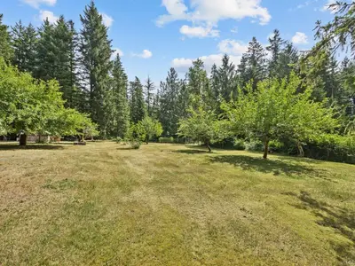 View 54