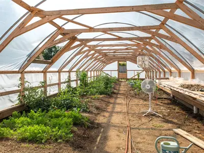 View 29