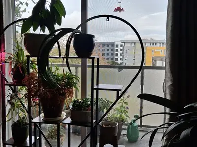 View 18