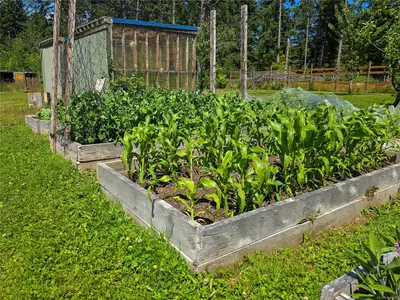 View 28