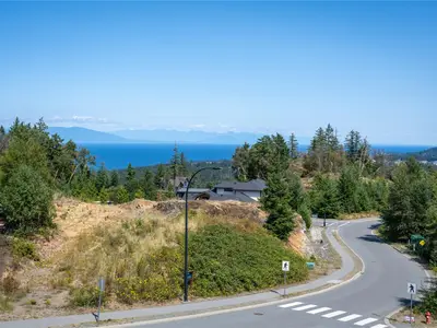 View 75