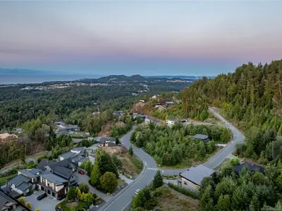 View 83