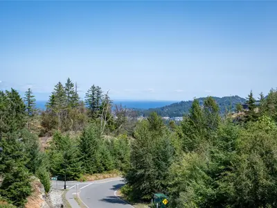View 74