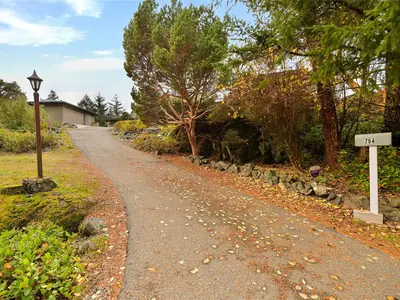 View 50
