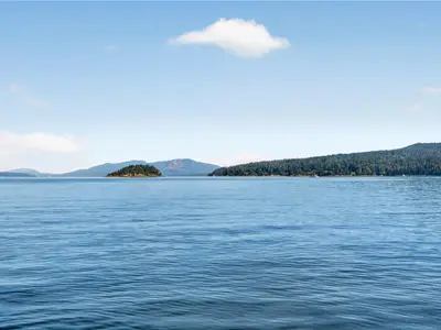 View 54