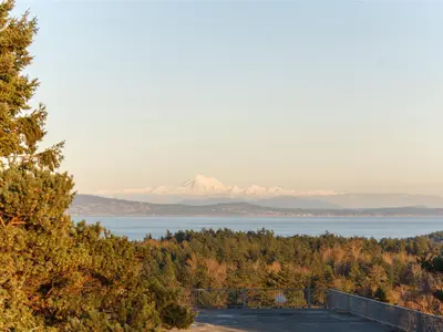 View 40