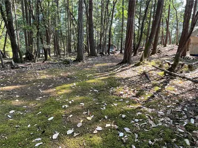 View 32