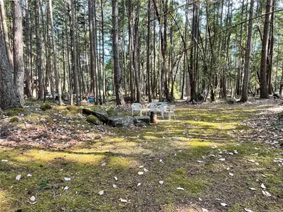 View 29