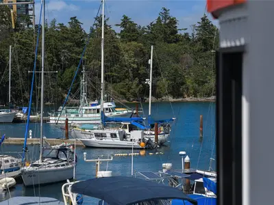 View 34