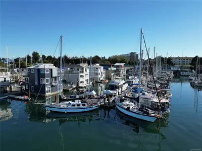 View 55