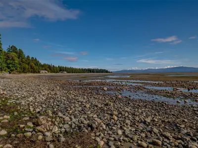 View 36