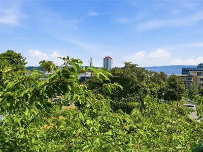 View 23