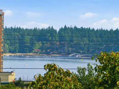 View 30