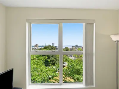 View 15