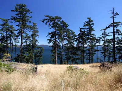 View 1