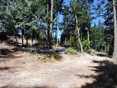 View 15