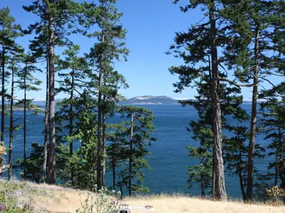 View 4