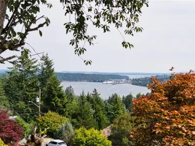 View 4