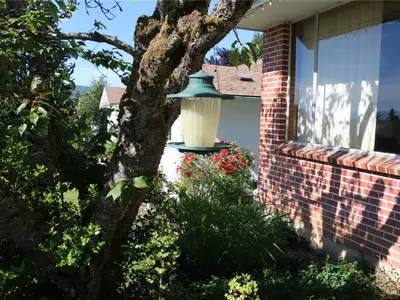 View 35