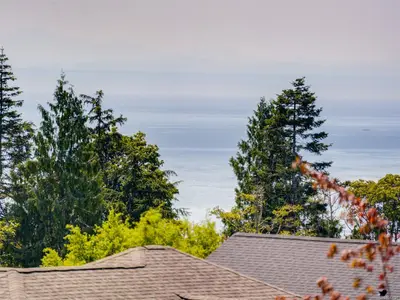 View 24