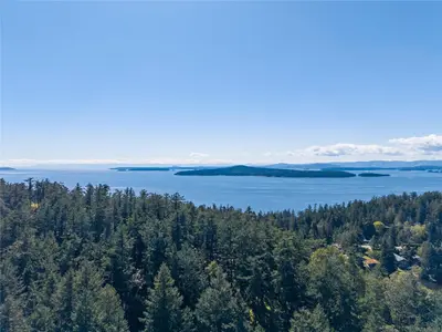 View 41