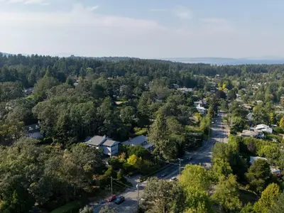 View 51