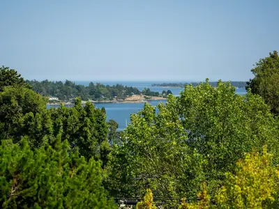 View 19