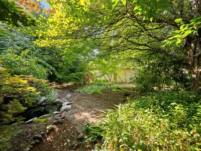View 39
