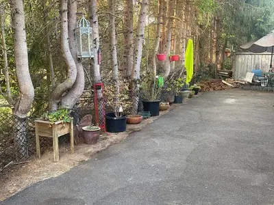 View 15