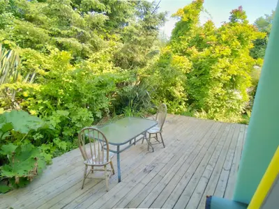 View 24