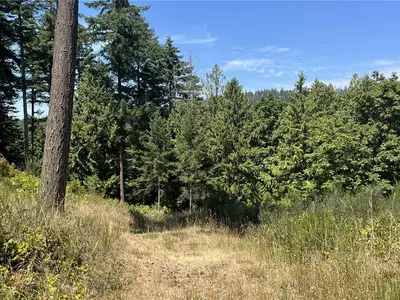View 62
