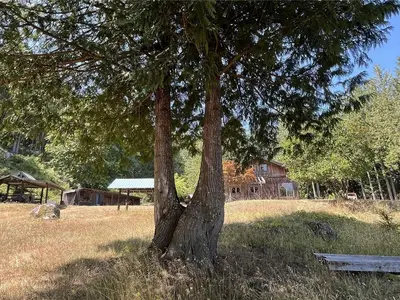 View 65