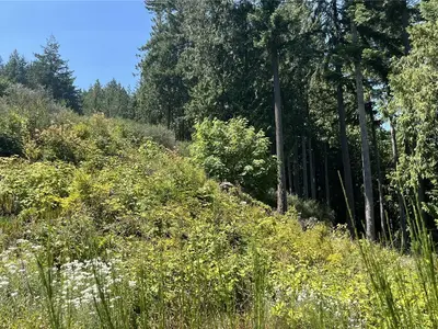 View 59