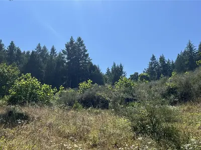View 58