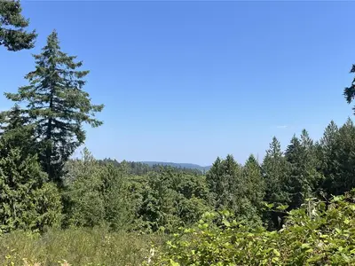 View 64