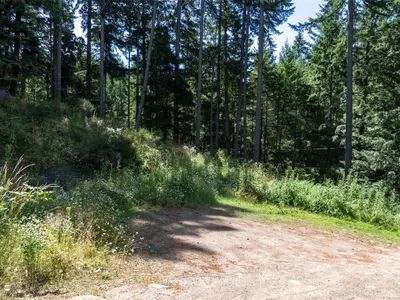 View 17