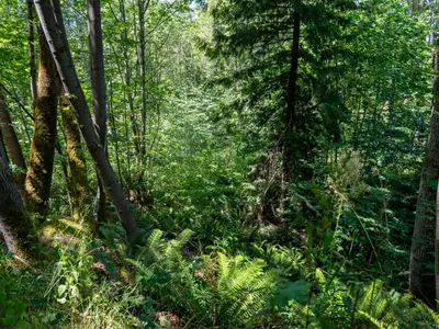 View 26