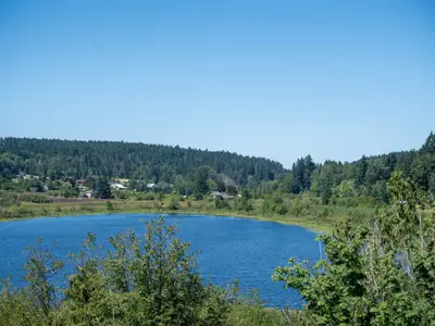 View 18