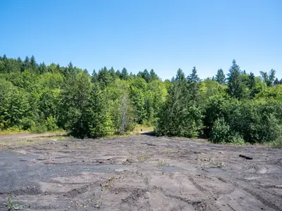 View 19