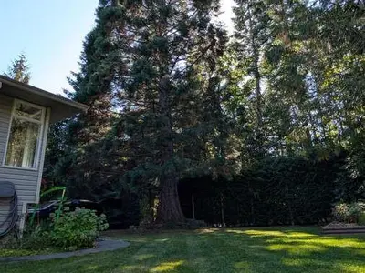 View 25