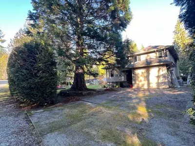 View 18