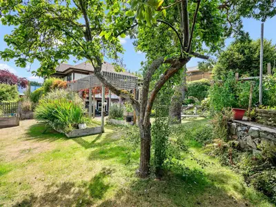 View 37