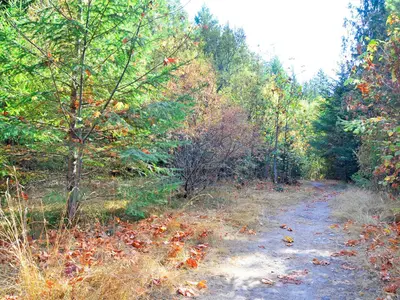 View 76