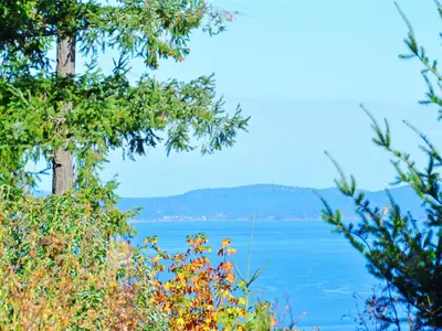 View 83