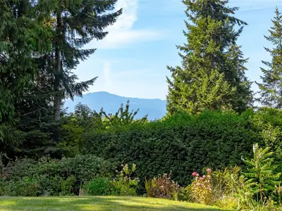 View 70