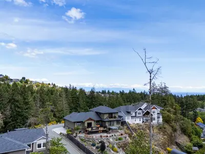 View 17