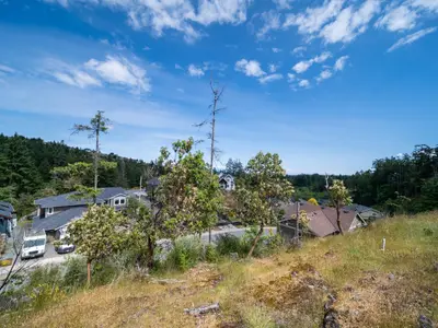 View 24